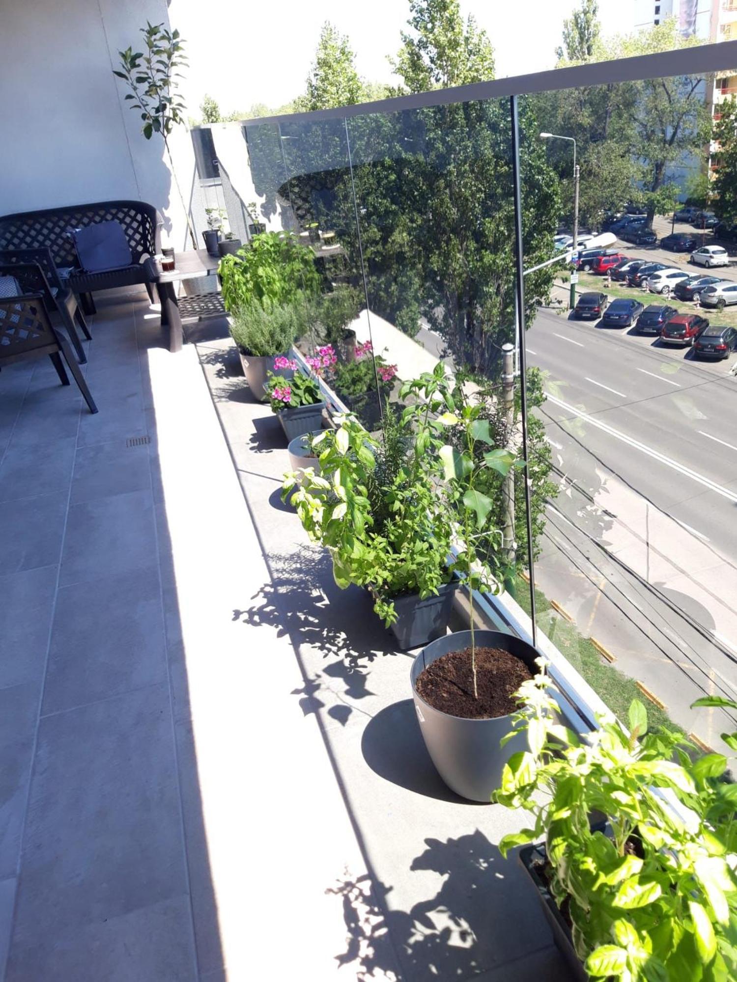 Elysse Sunrise Apartment مامايا المظهر الخارجي الصورة